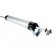 Electric motor mechanism MAX piston for viewing windows and skylights