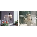 Σήτα πανί pet screen ειδικό για κατοικίδια 120cm ύψος